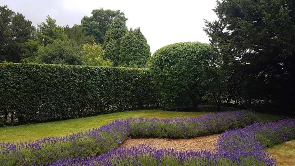 This is a photo of a garden hedge that has just been trimmed by EM Tree Surgery Bishops Cleeve